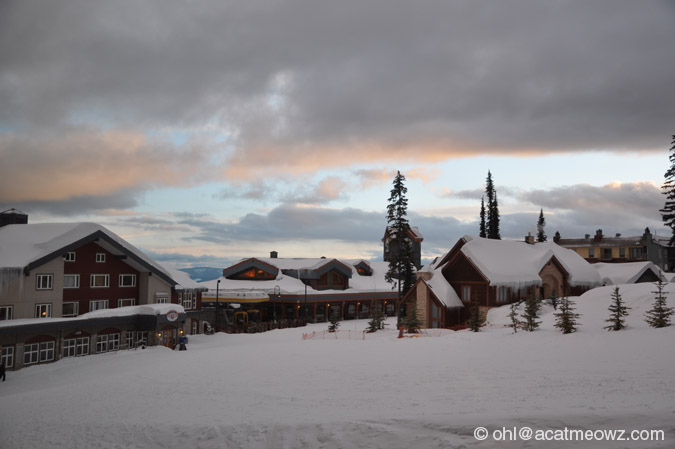 2010.04.05 0721a BigWhite